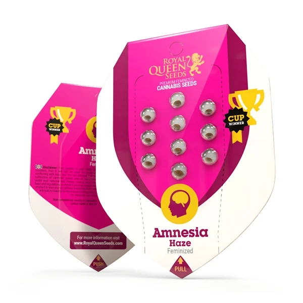 Samen 3x Amnesia Haze feminisiert Roayalqueenseeds